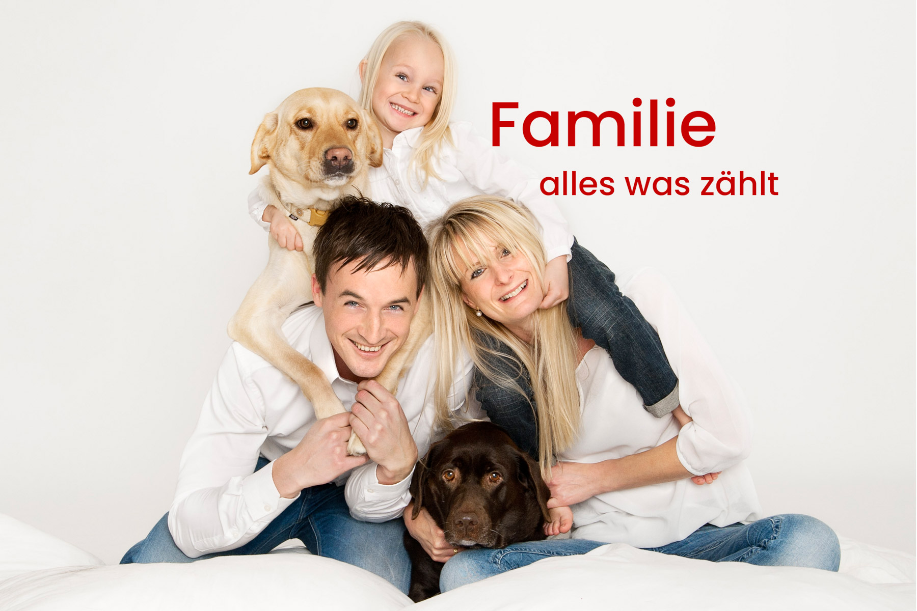 Familien Fotoshooting mit 2 Kindern und 2 Hunden