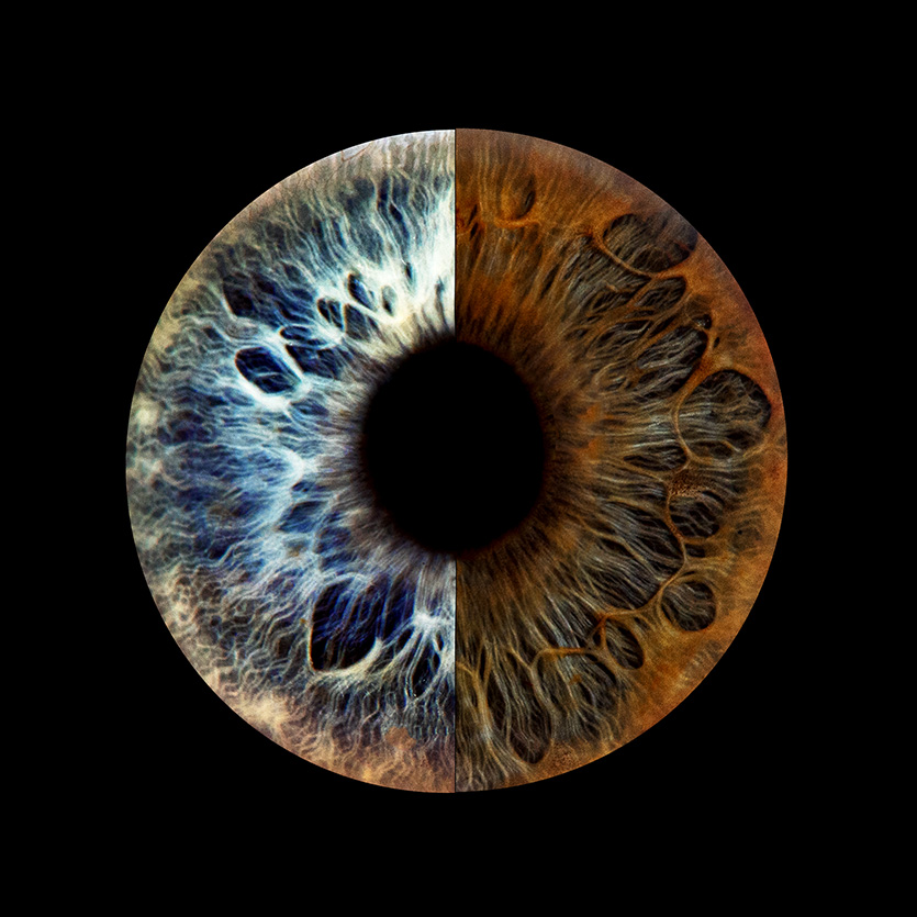 Iris-Fotografie-Unna zusammengesetzte Iris